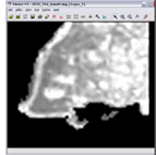 Remotesensing 03 02605 i129