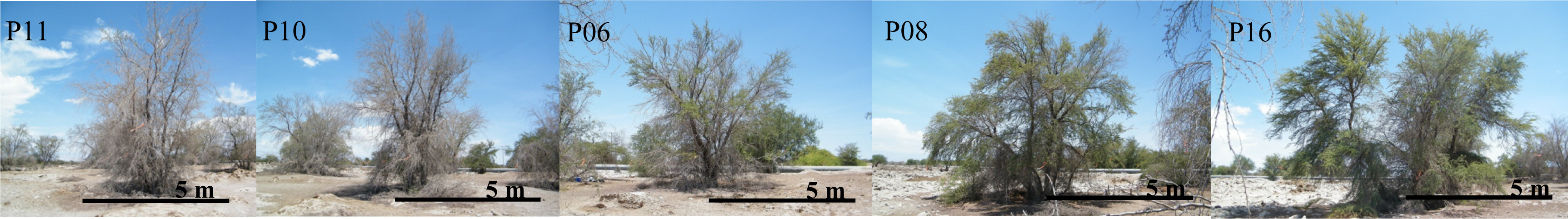 Remotesensing 05 05064f6