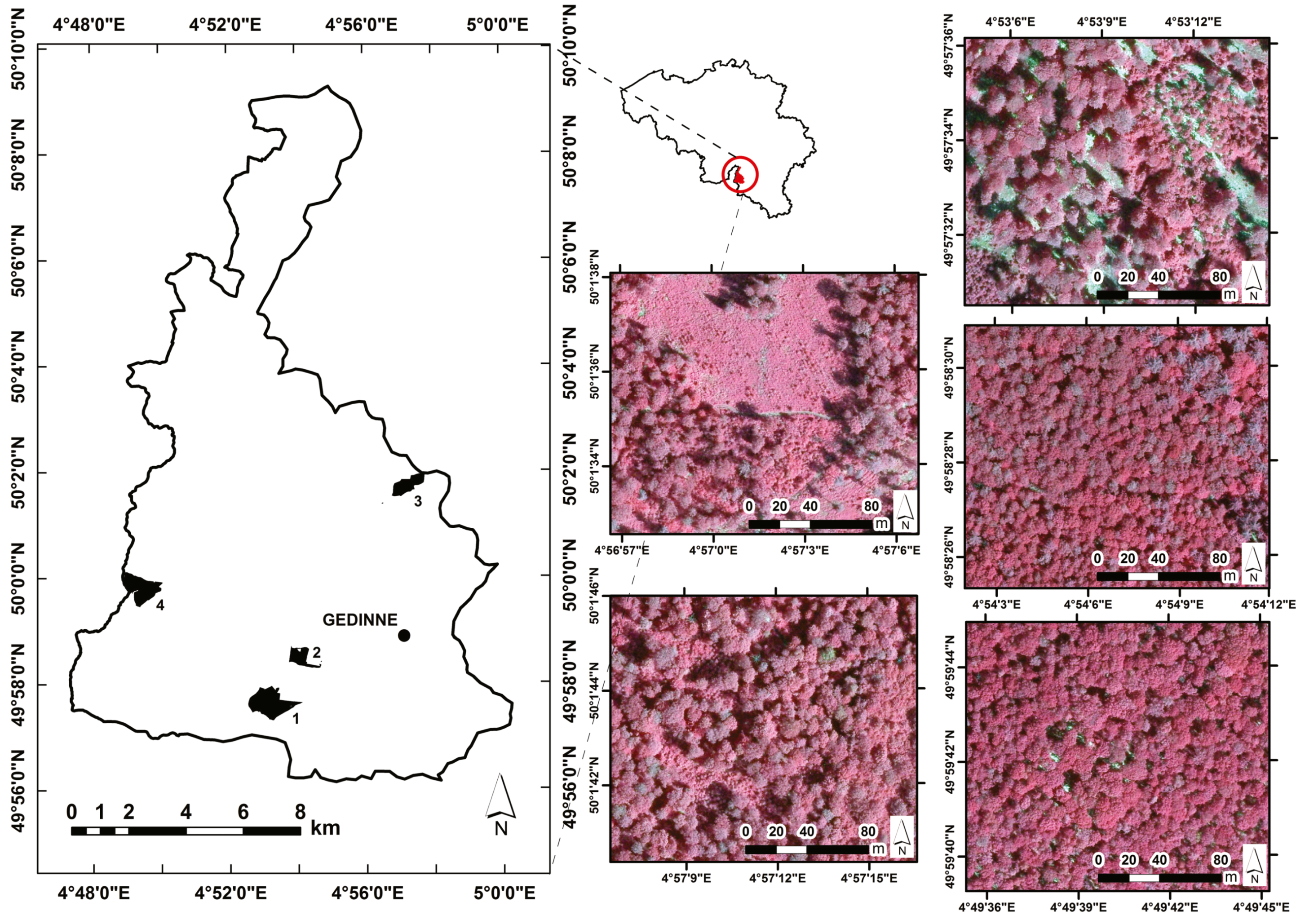 Remotesensing 07 11267 g001