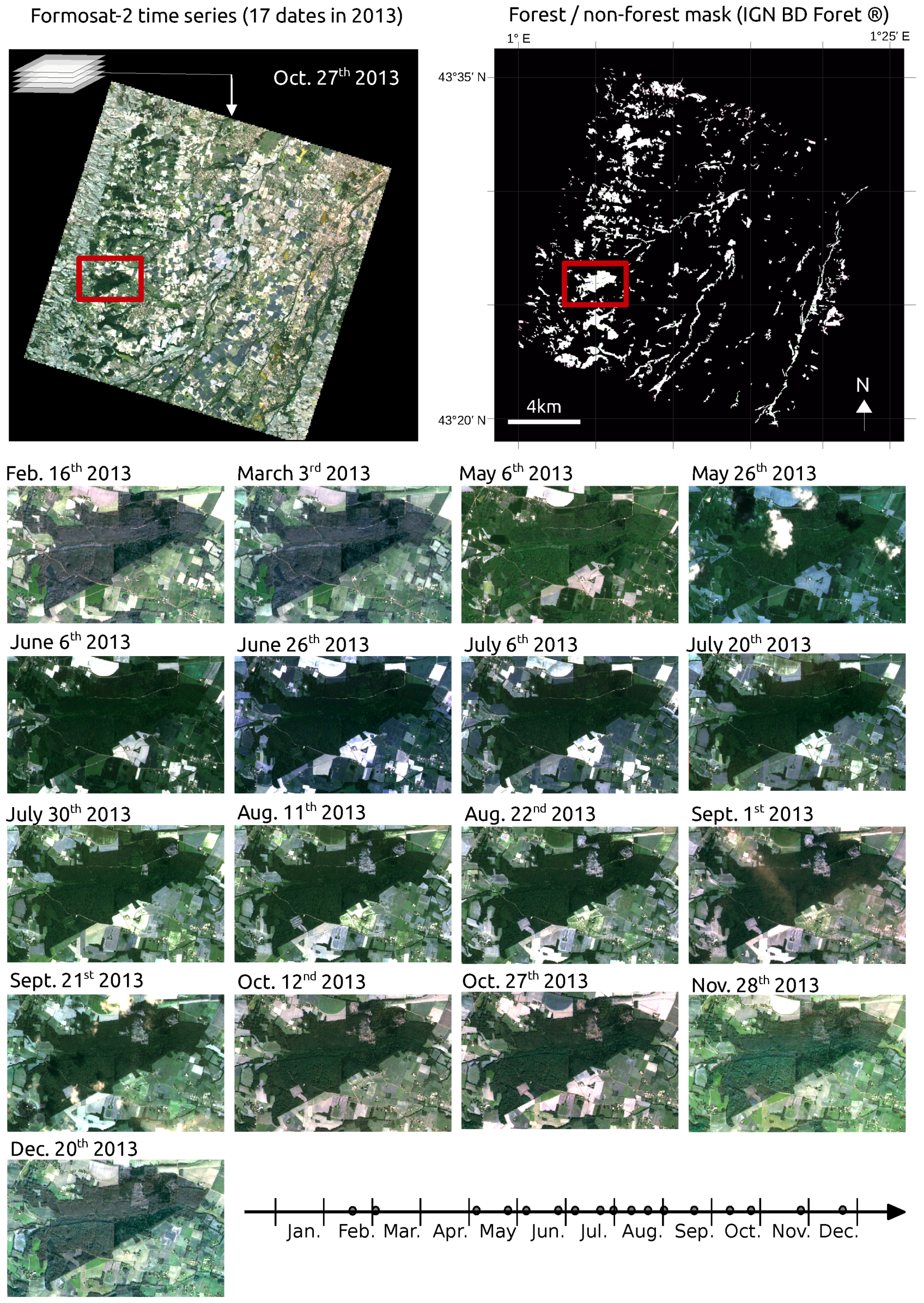 Remote Sensing Free Full Text Tree Species Classification In Temperate Forests Using