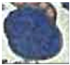 Remotesensing 09 01072 i005 Remotesensing 09 01072 i005