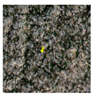 Remotesensing 09 01123 i002