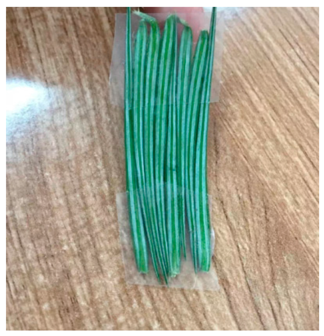 Remotesensing 10 00262 g0a4