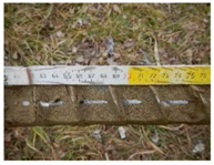 Remotesensing 10 00380 i004