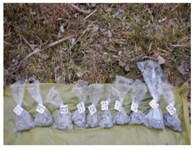 Remotesensing 10 00380 i012