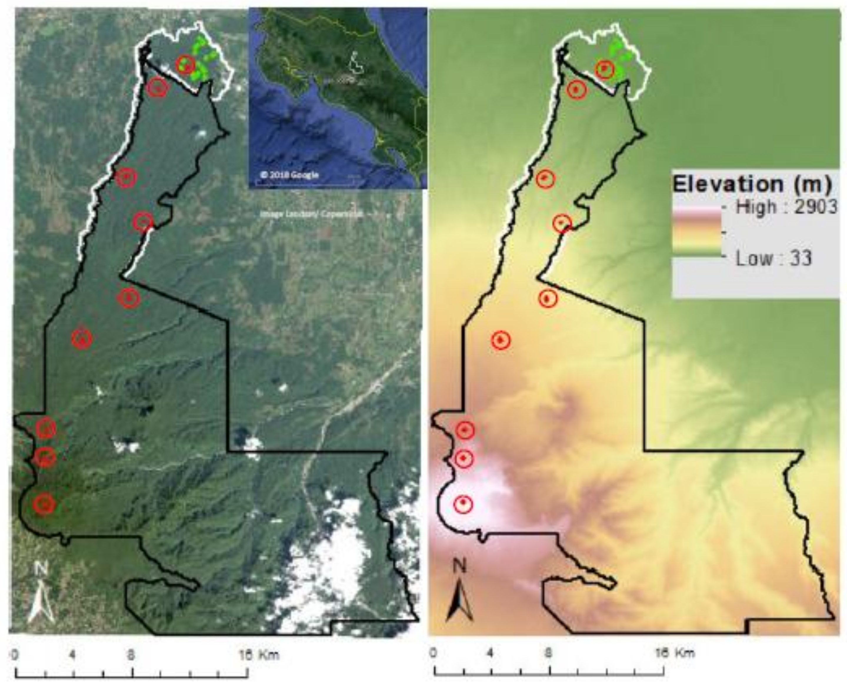 Remotesensing 10 00629 g001
