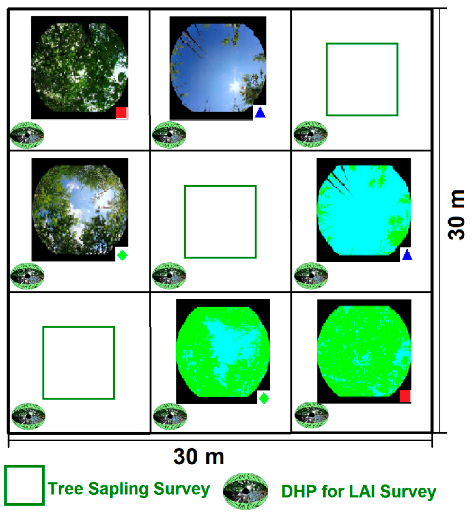 Remotesensing 11 00603 g002