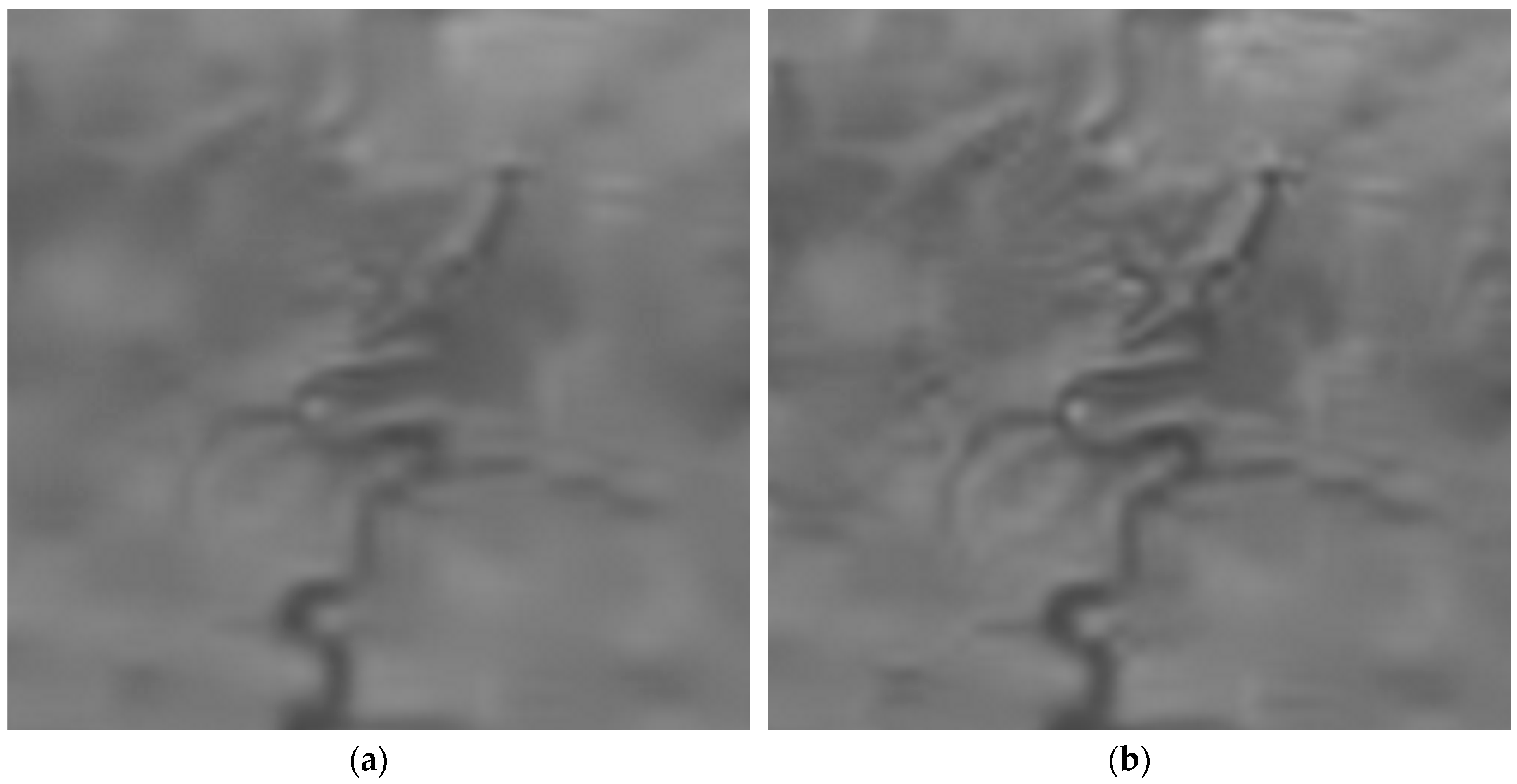 Remotesensing 11 00611 g011 Remotesensing 11 00611 g011