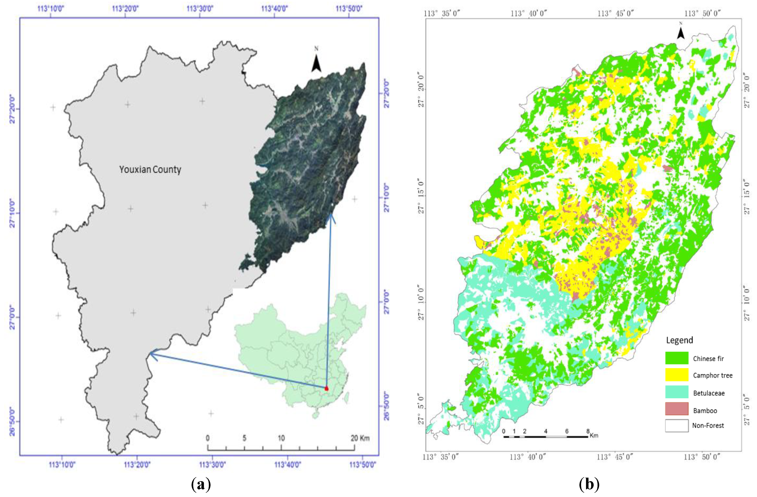 Remotesensing 11 01872 g001