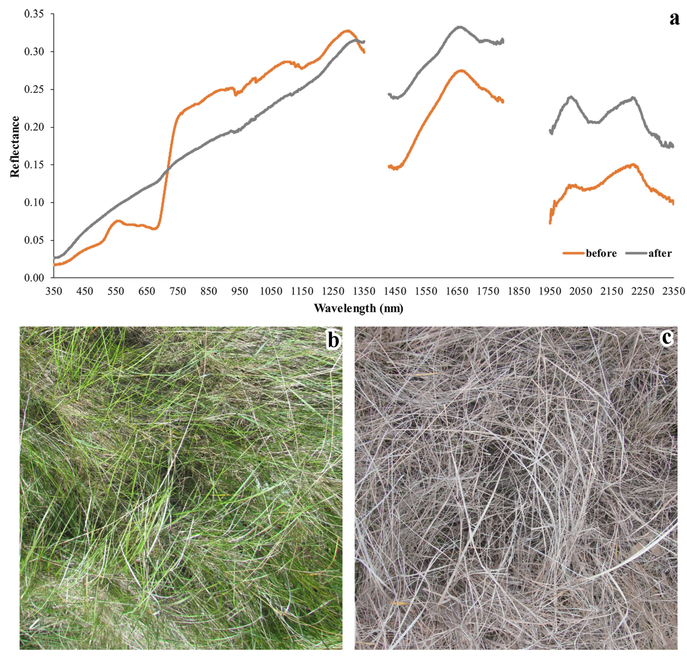 Remotesensing 12 01979 g003