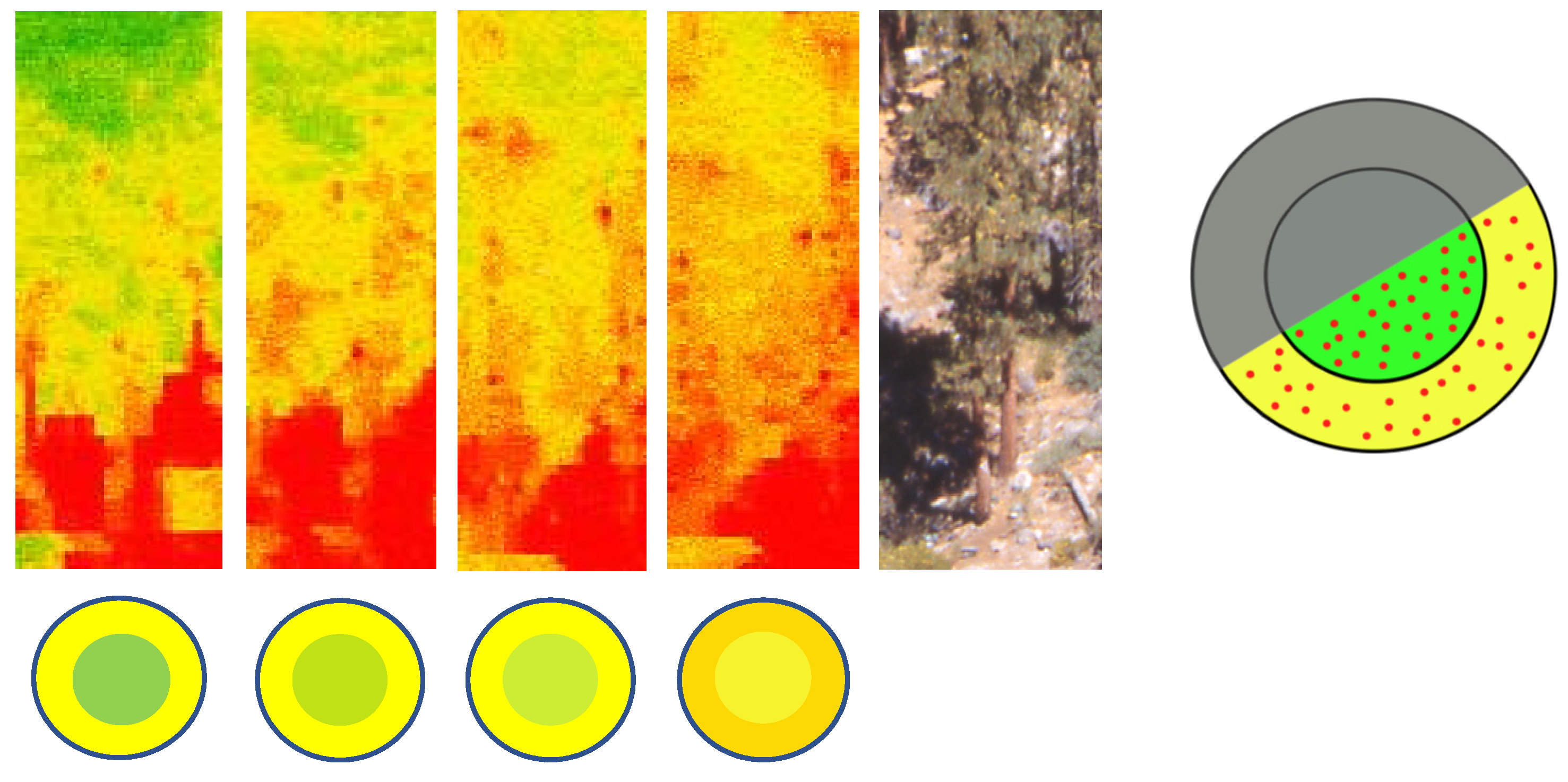 Remotesensing 12 02338 g002