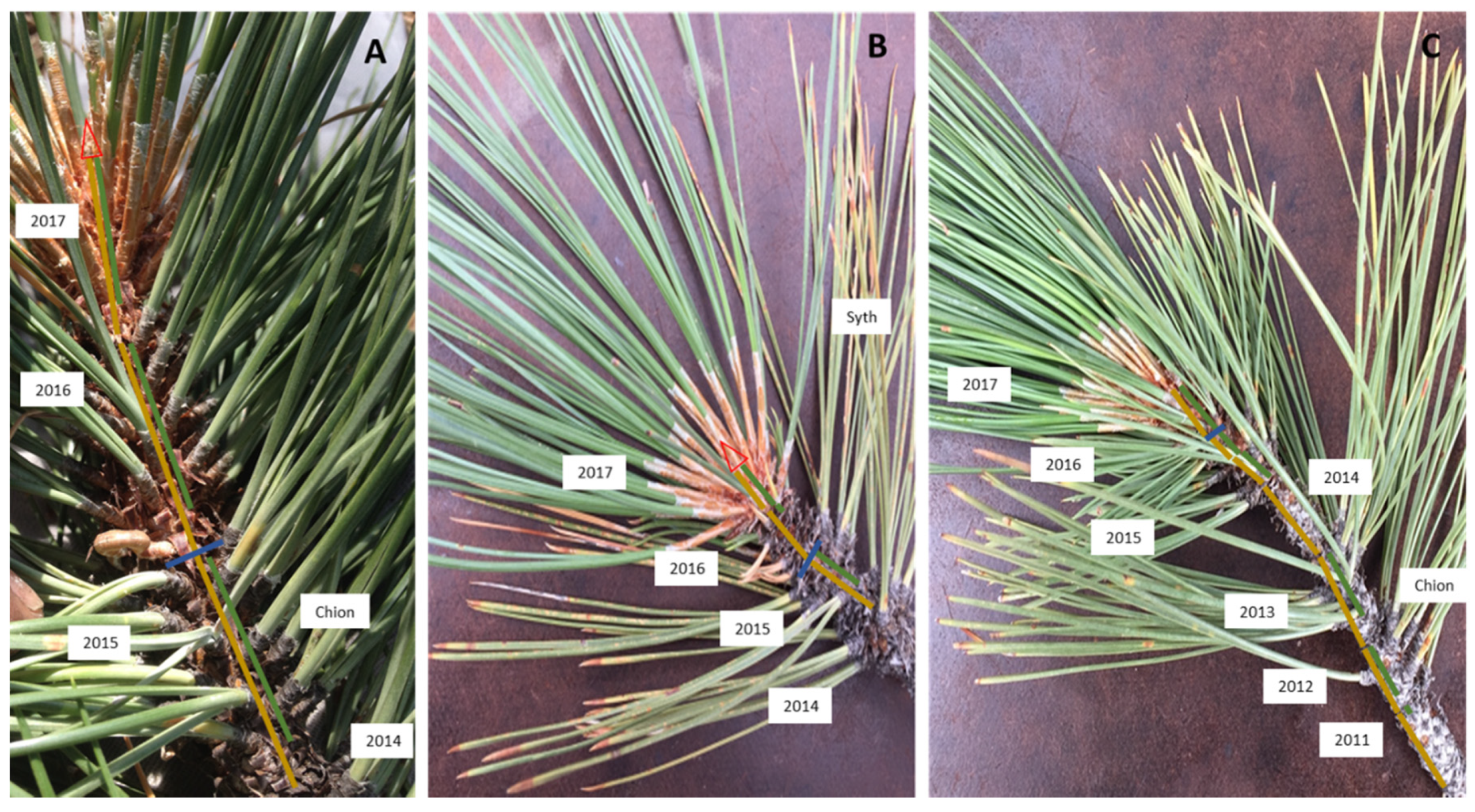 Remotesensing 12 02338 g0a1