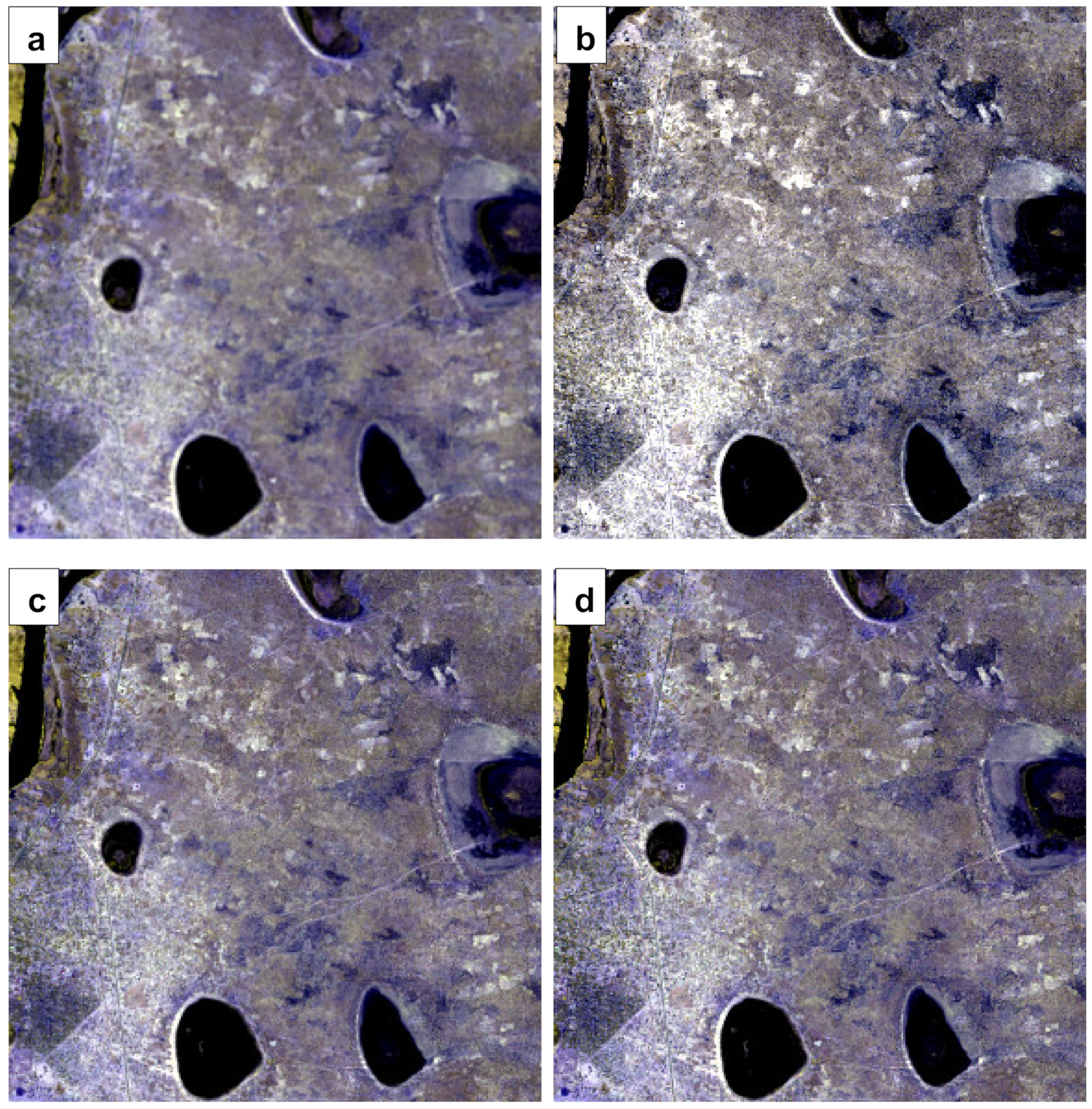 Remotesensing 12 02406 g006