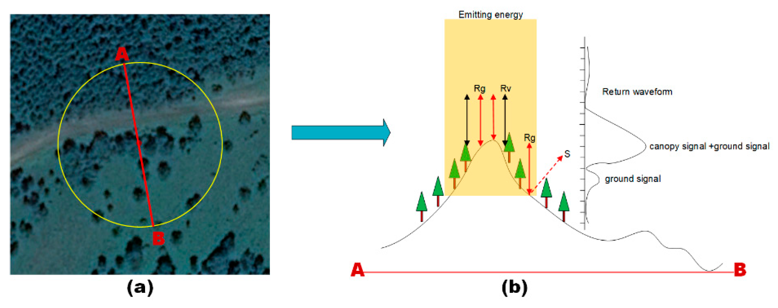 Remotesensing 12 02457 g008