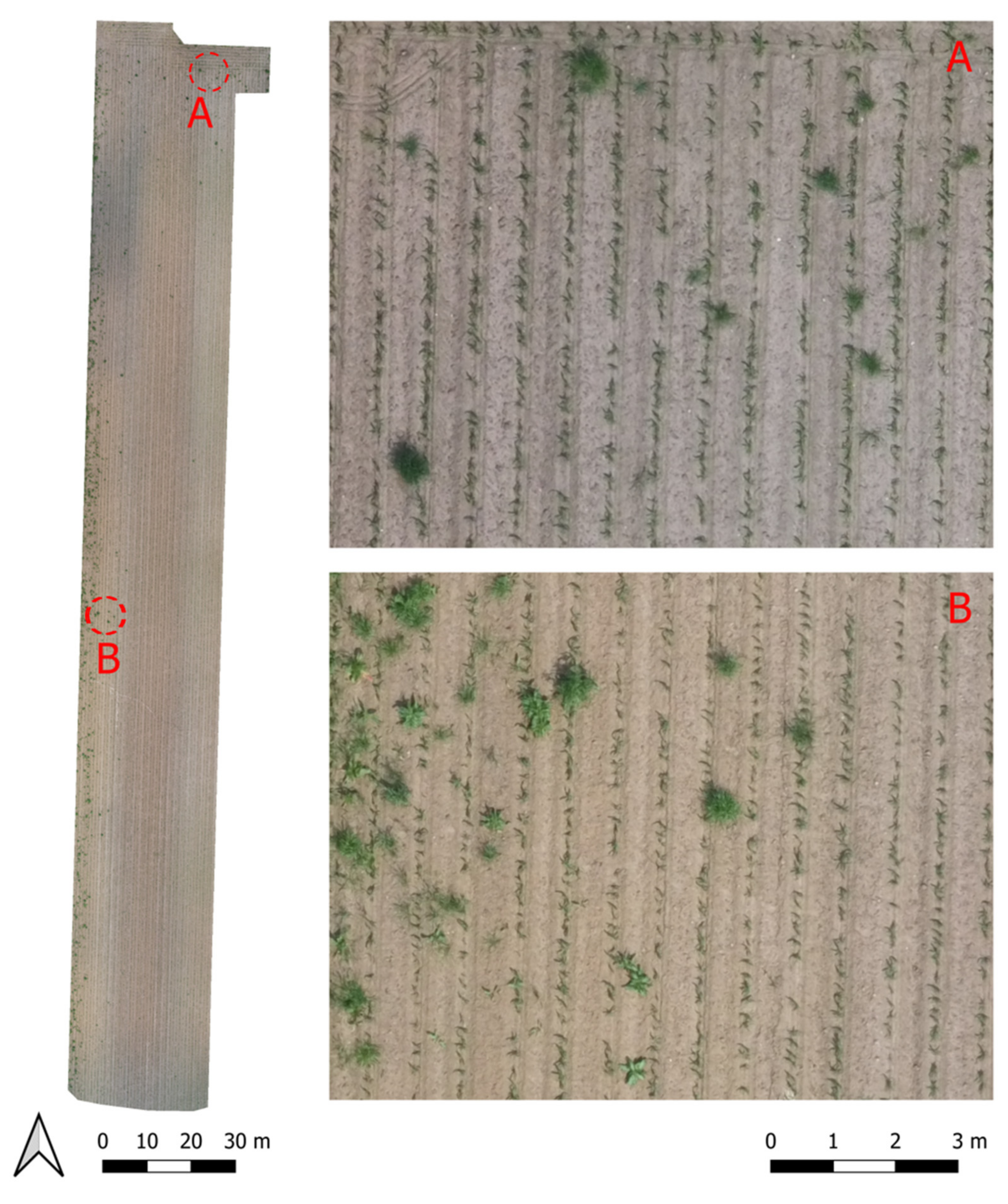 Remotesensing 13 01869 g005