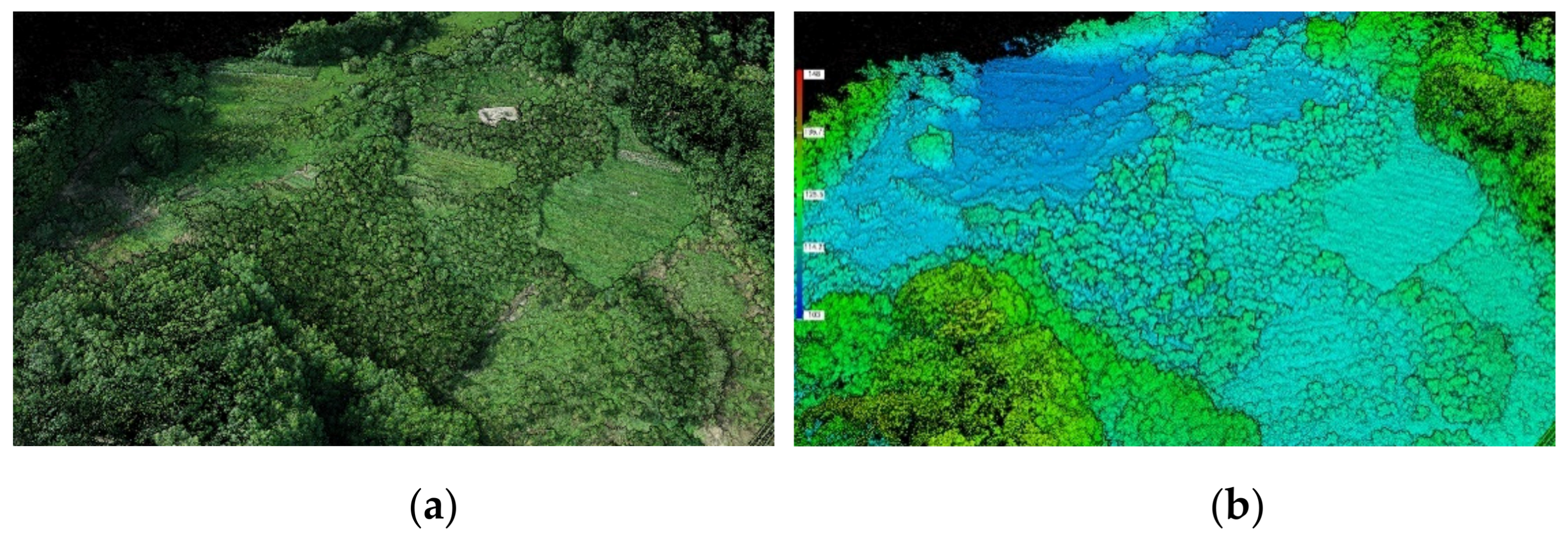 Remotesensing 13 04562 g008 Remotesensing 13 04562 g008