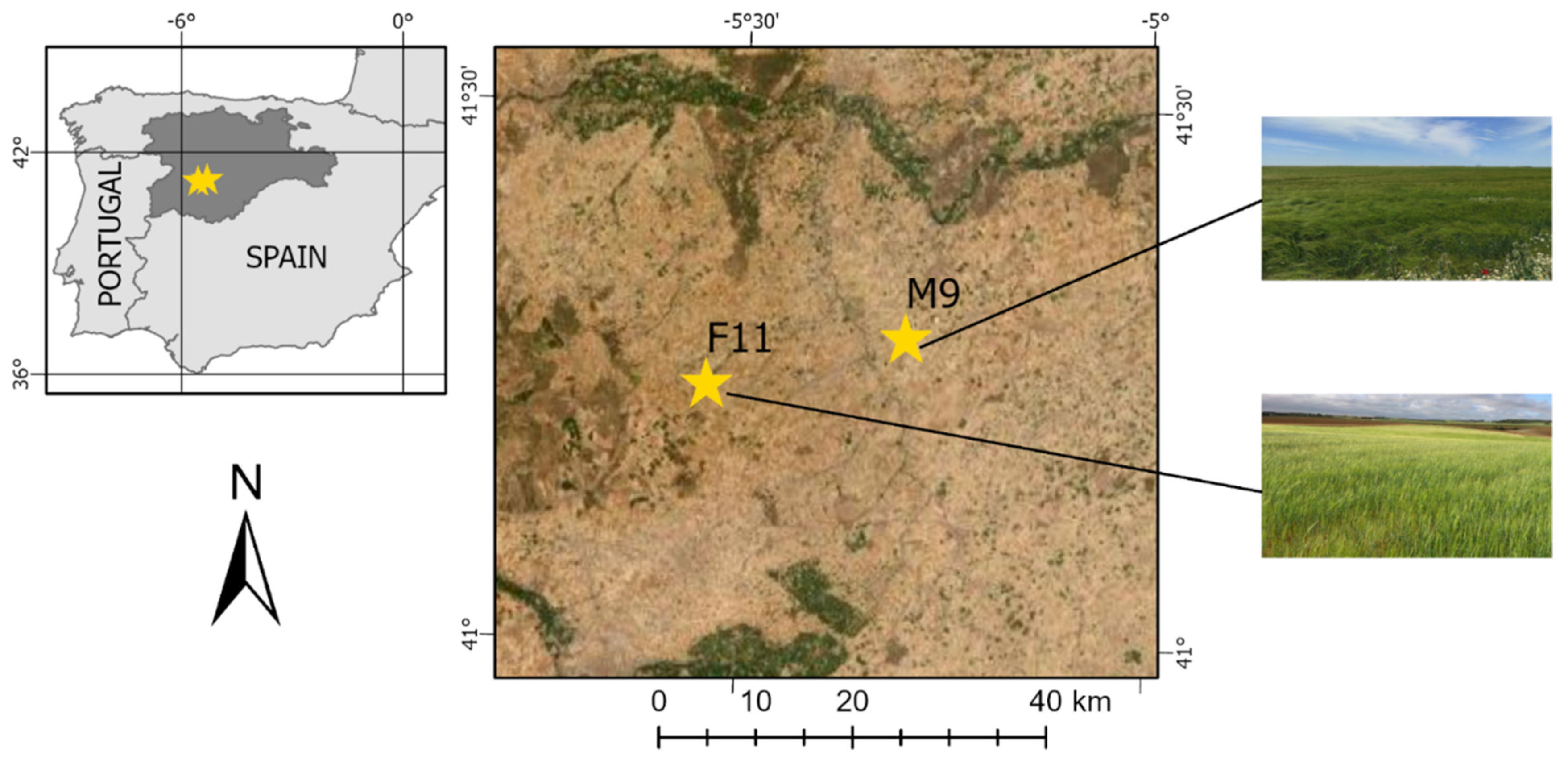 Remotesensing 14 00614 g001