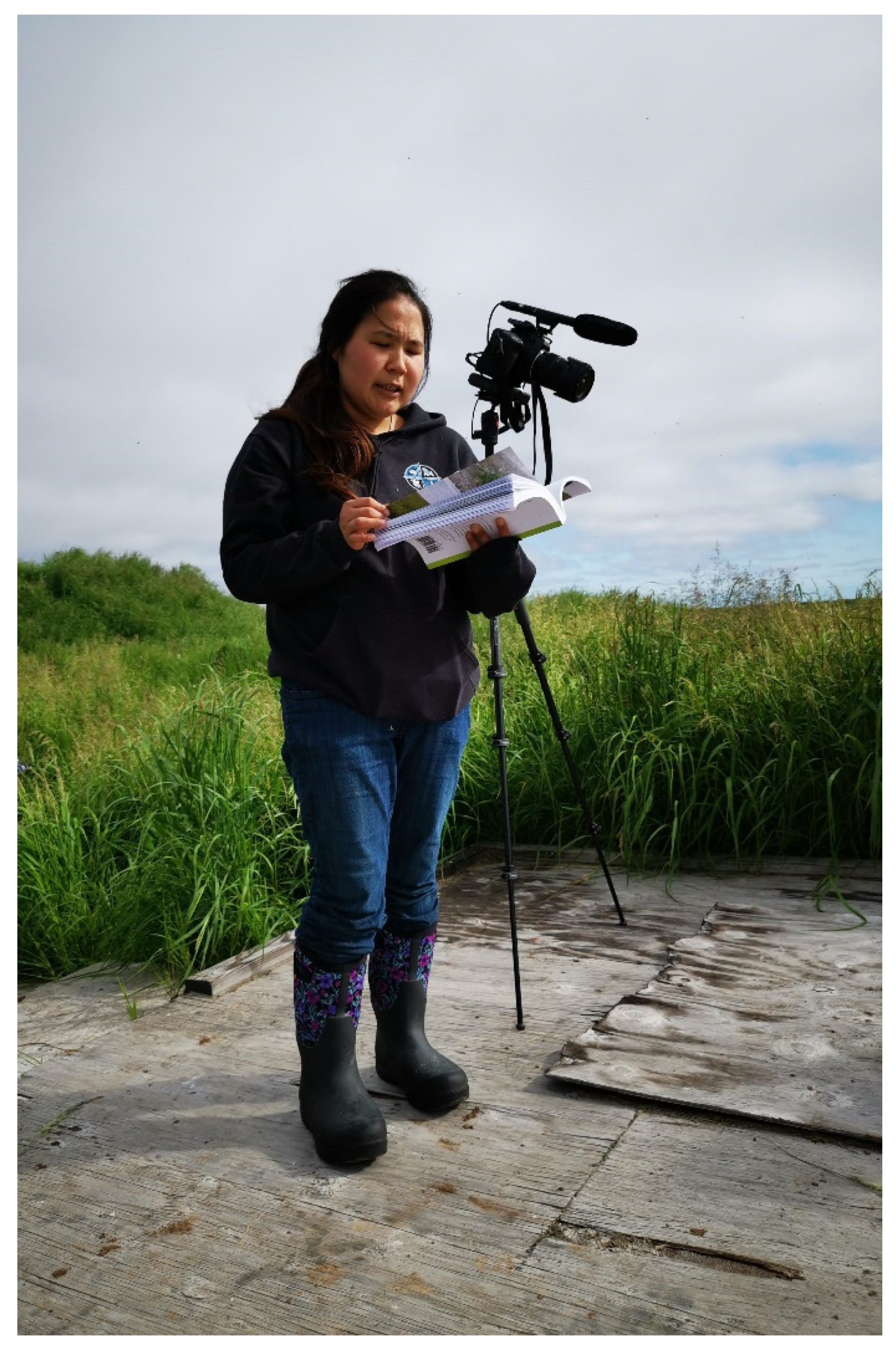 Remotesensing 14 00728 g005