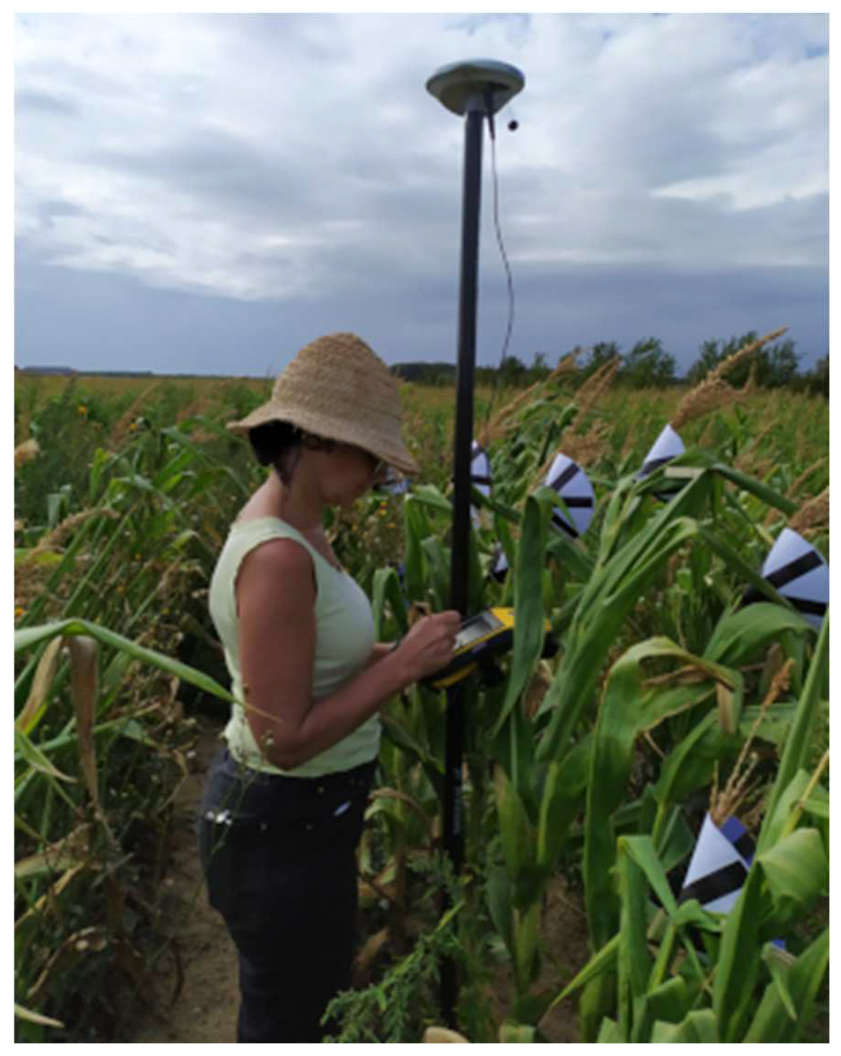 Remotesensing 14 02391 g011