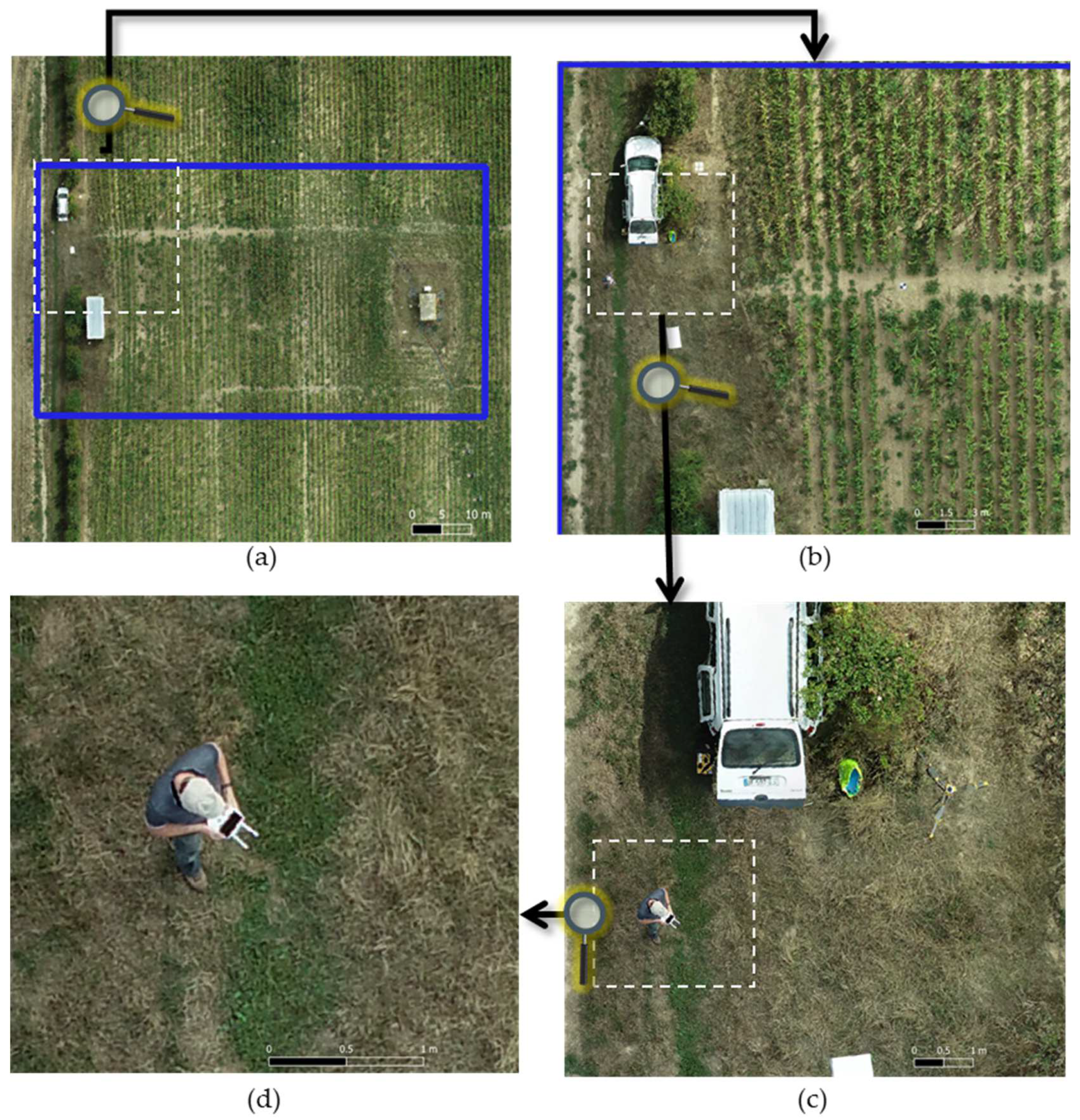 Remotesensing 14 02391 g025