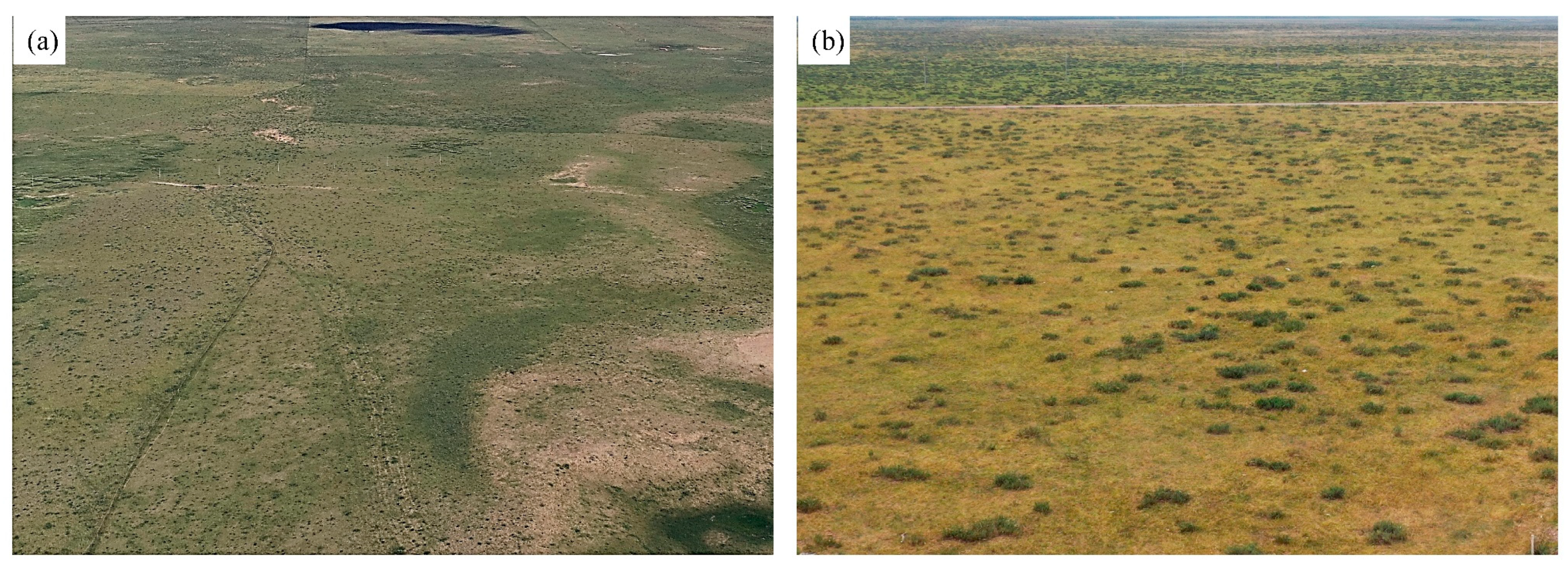 Remotesensing 14 03266 g011