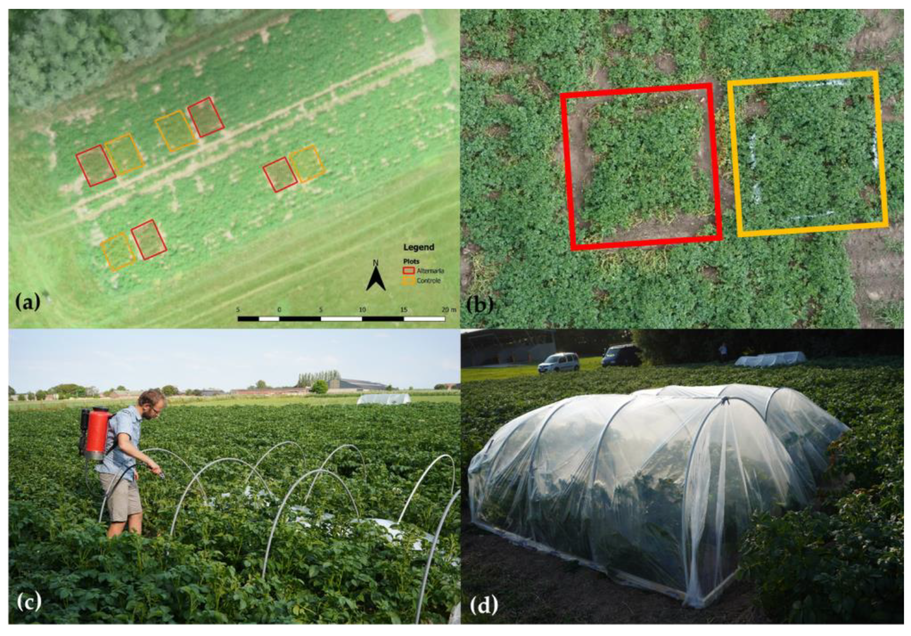 Remotesensing 14 06232 g001