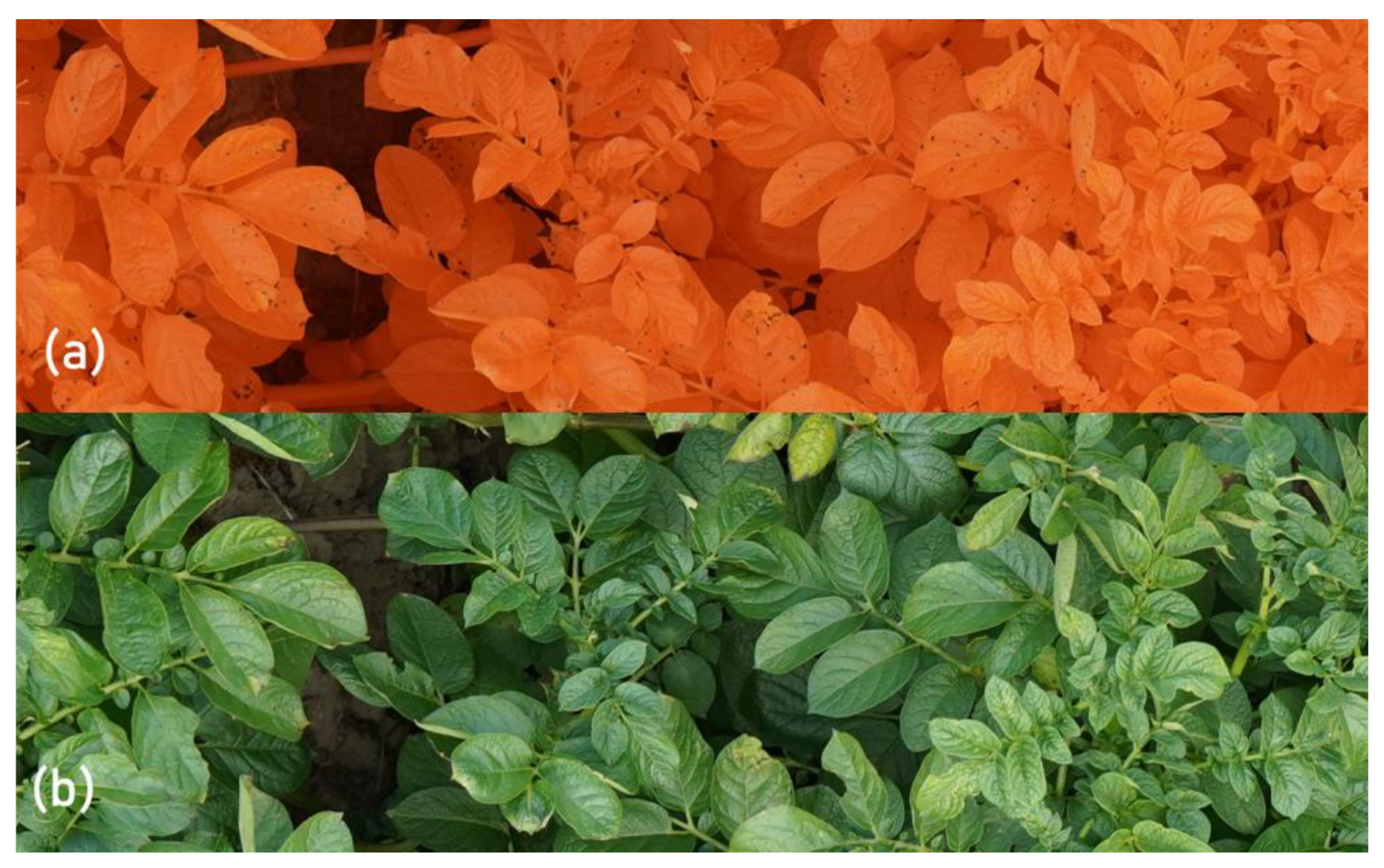 Remotesensing 14 06232 g006