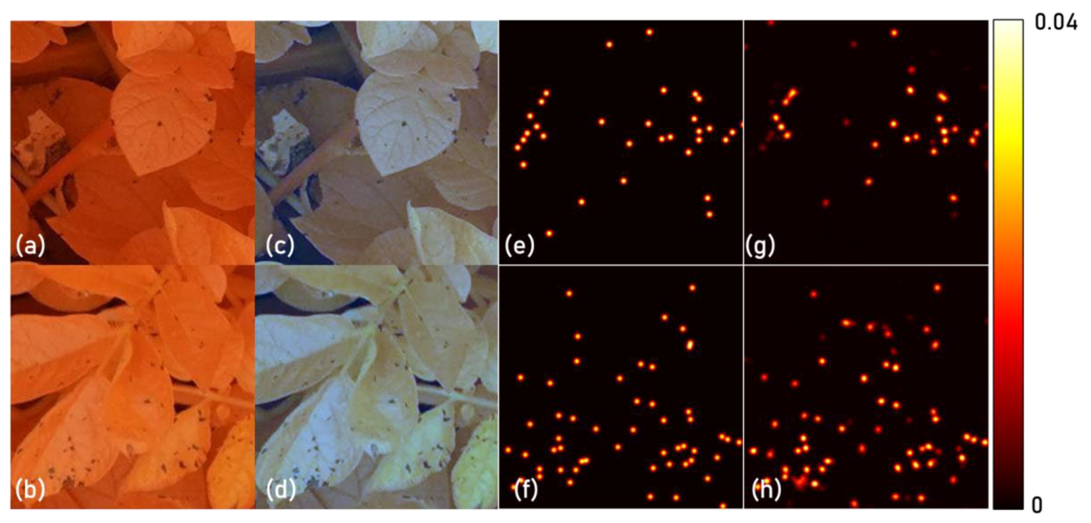 Remotesensing 14 06232 g007