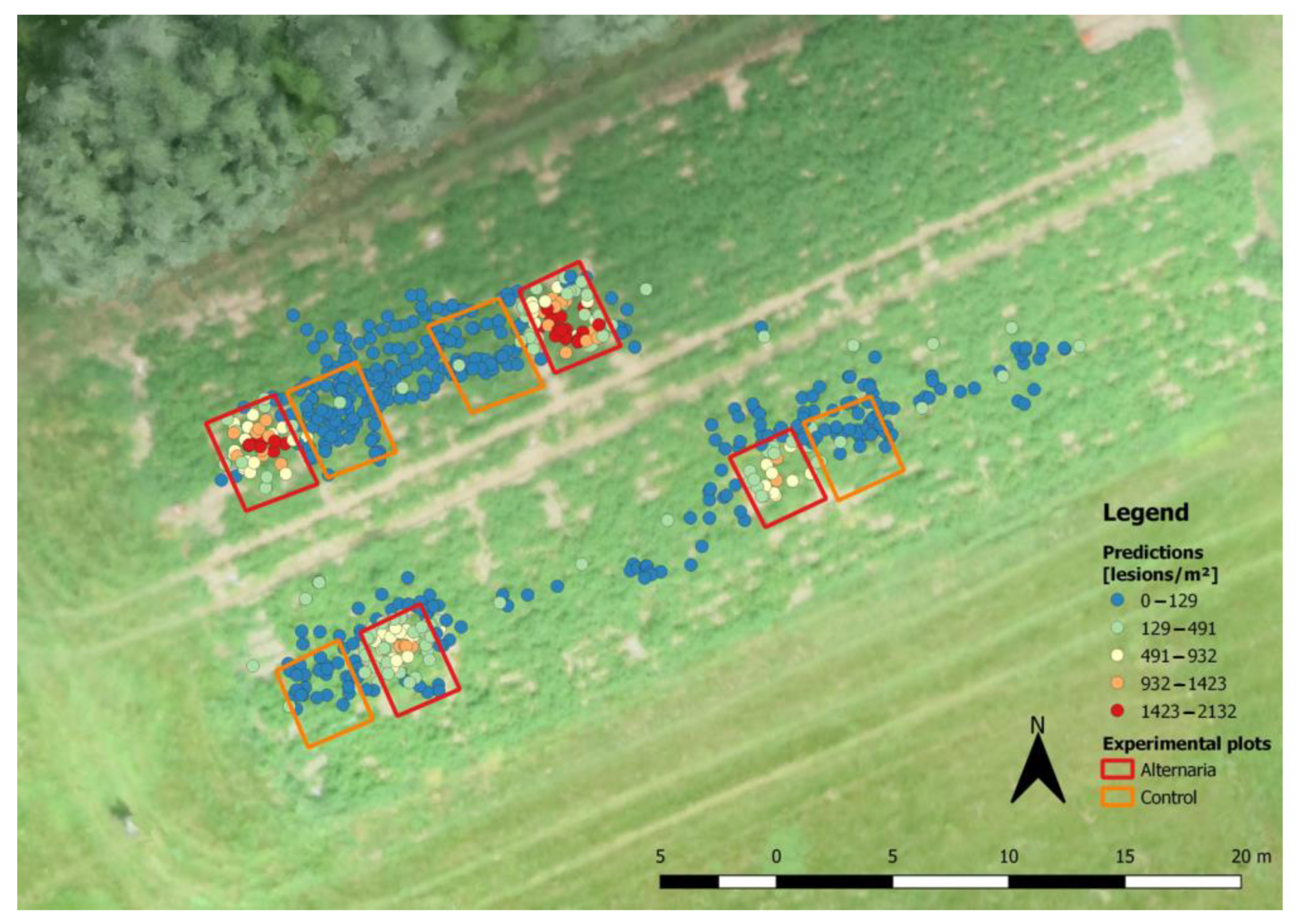 Remotesensing 14 06232 g011