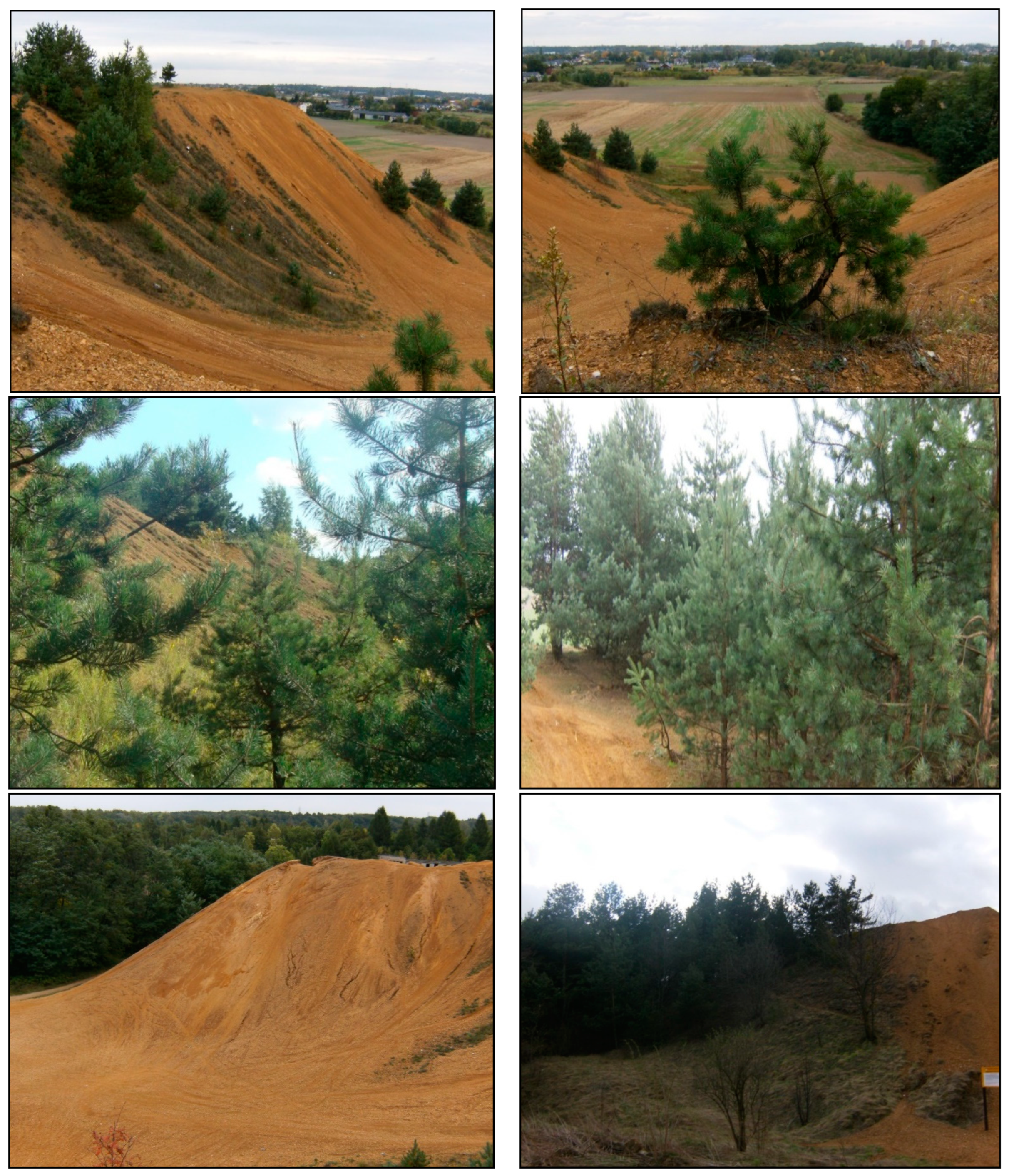 Remotesensing 15 00201 g002