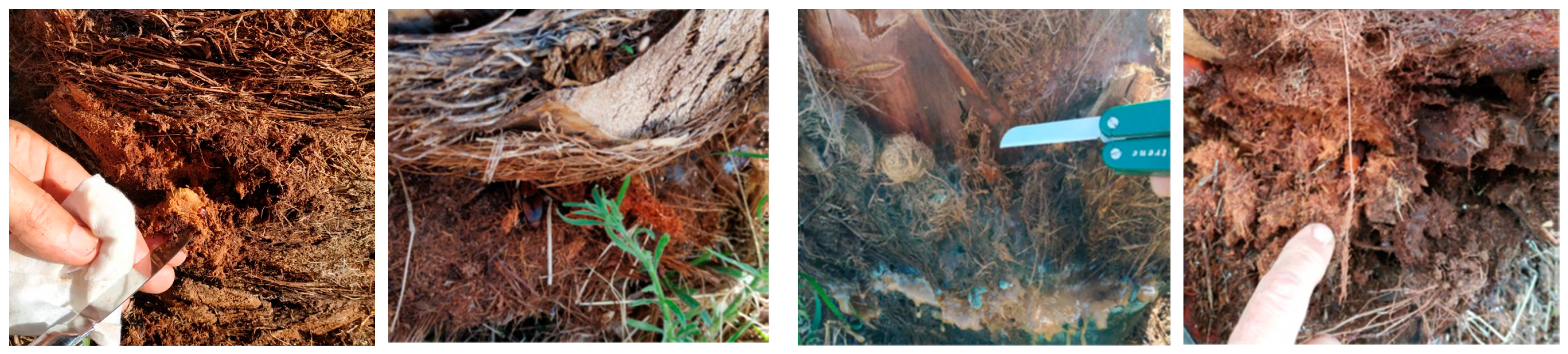 Remotesensing 15 01380 g005