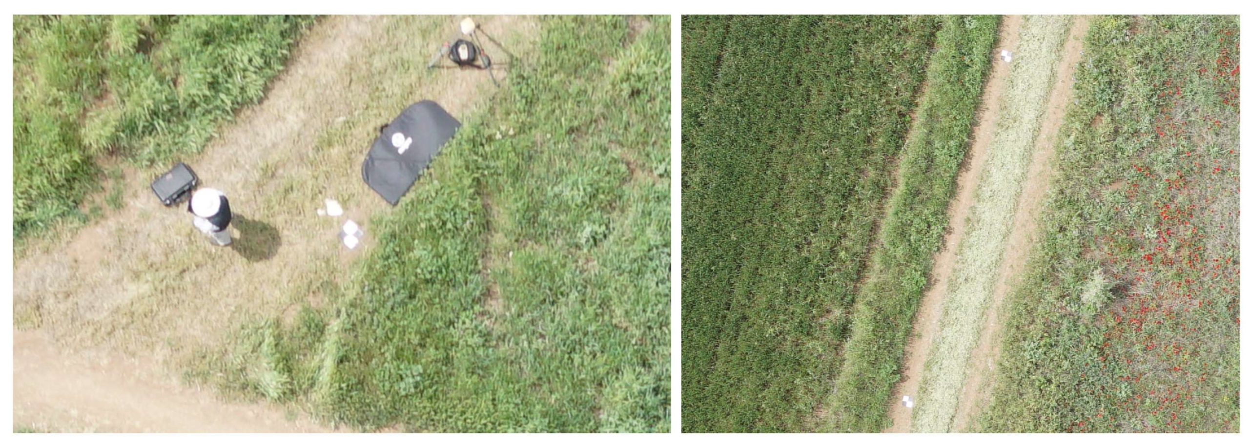 Remotesensing 15 03843 g008