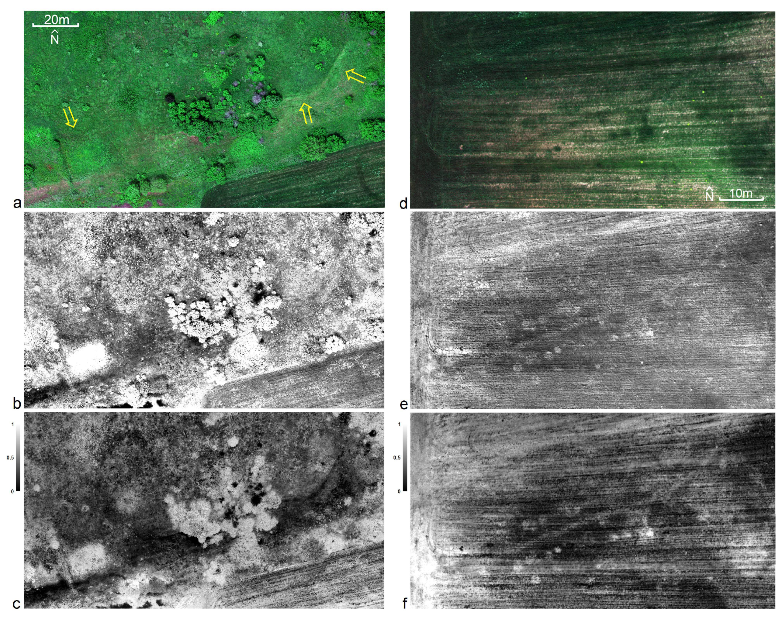 Remotesensing 15 03843 g012