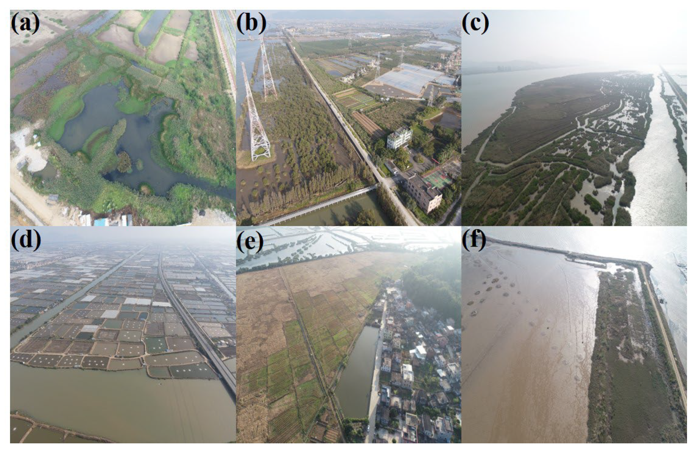 Remotesensing 16 01047 g002