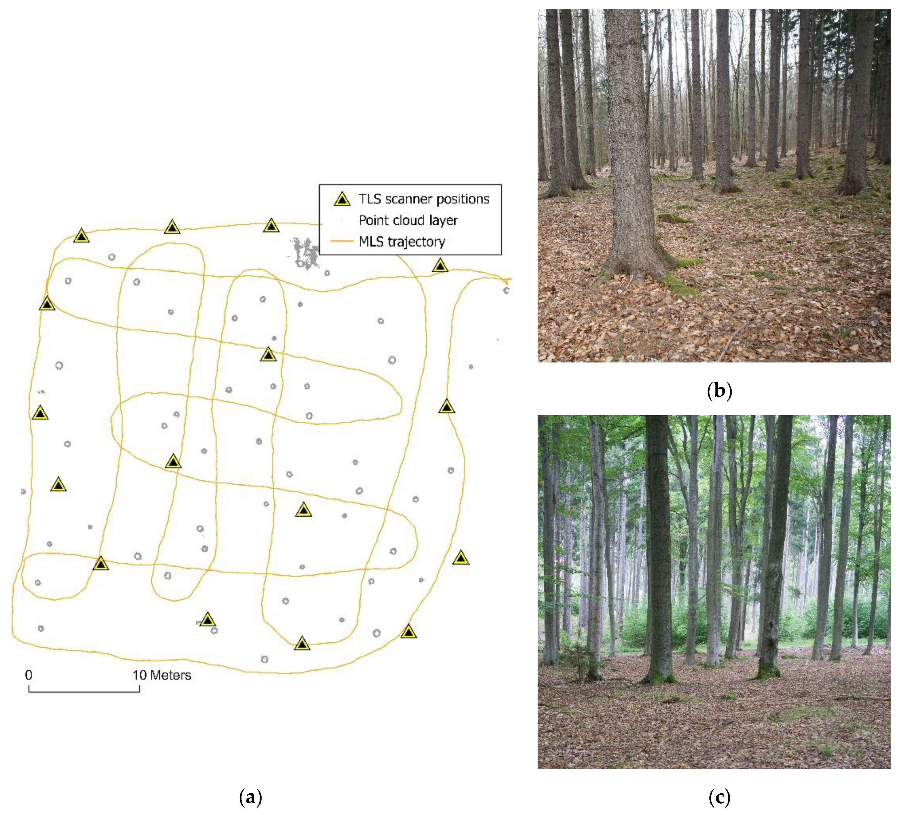 Remotesensing 16 01261 g002