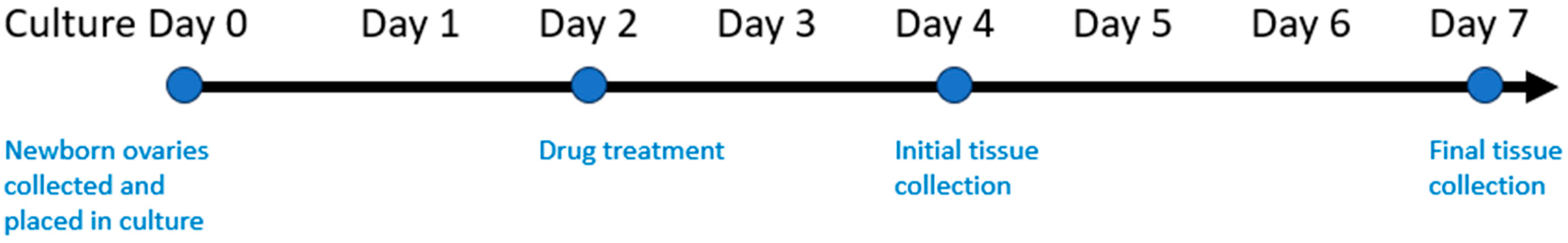 Reprodmed 04 00023 g002