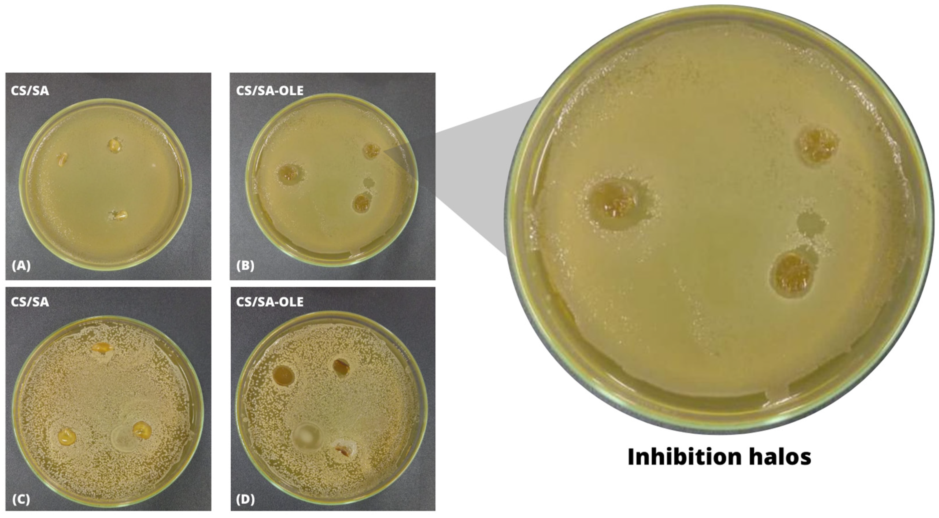 Resources 12 00097 g005