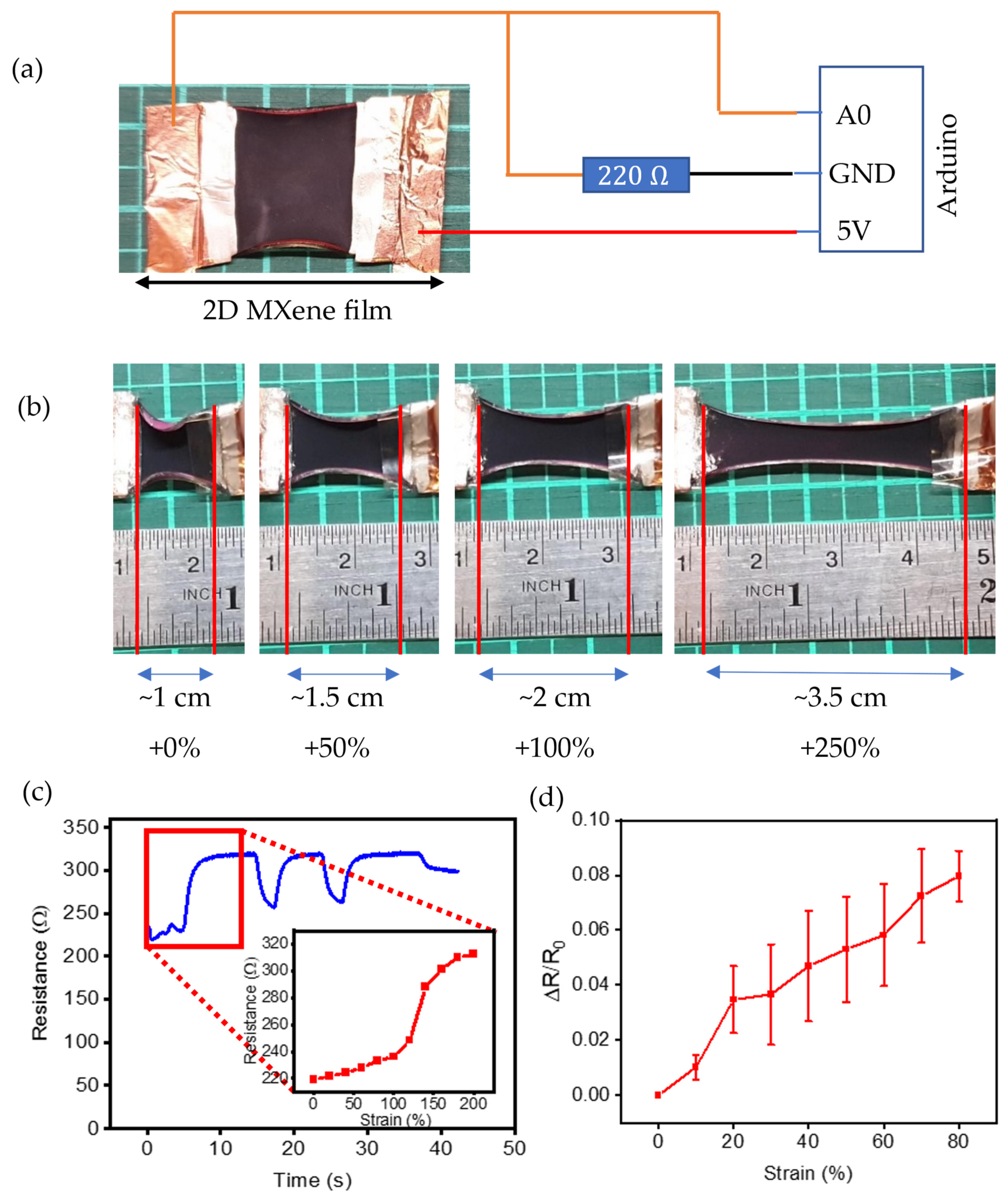 Robotics 11 00146 g002