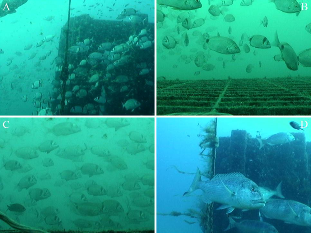 Sensors 11 05850f5 1024