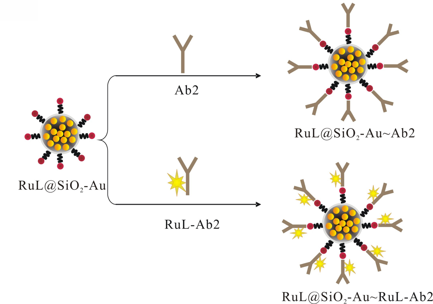 Sensors 11 07749f8 1024