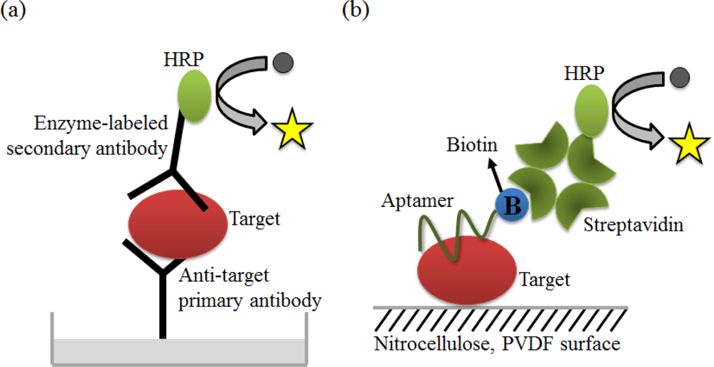 Sensors 12 00612f9 1024
