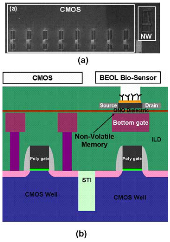 Sensors 12 03952f1 1024