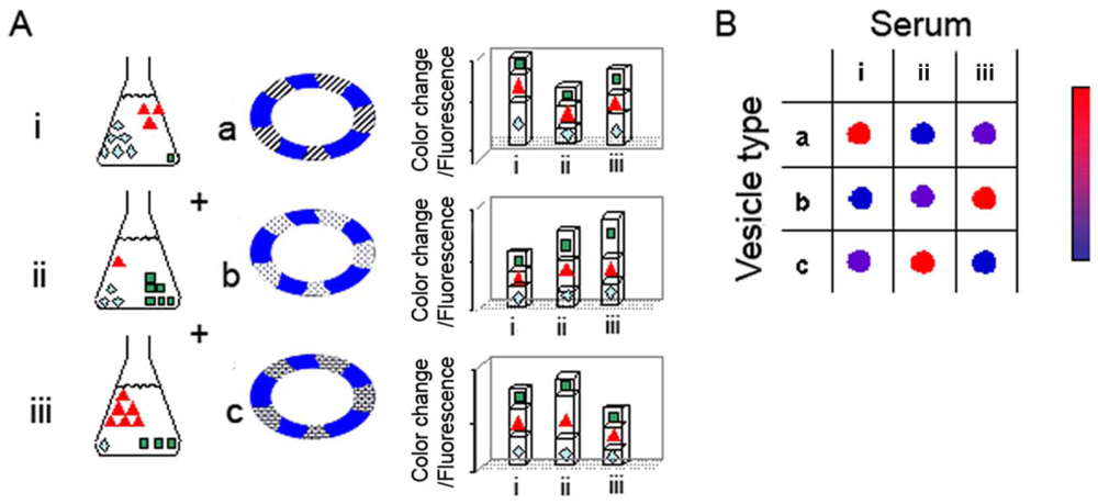 Sensors 12 05572f1 1024