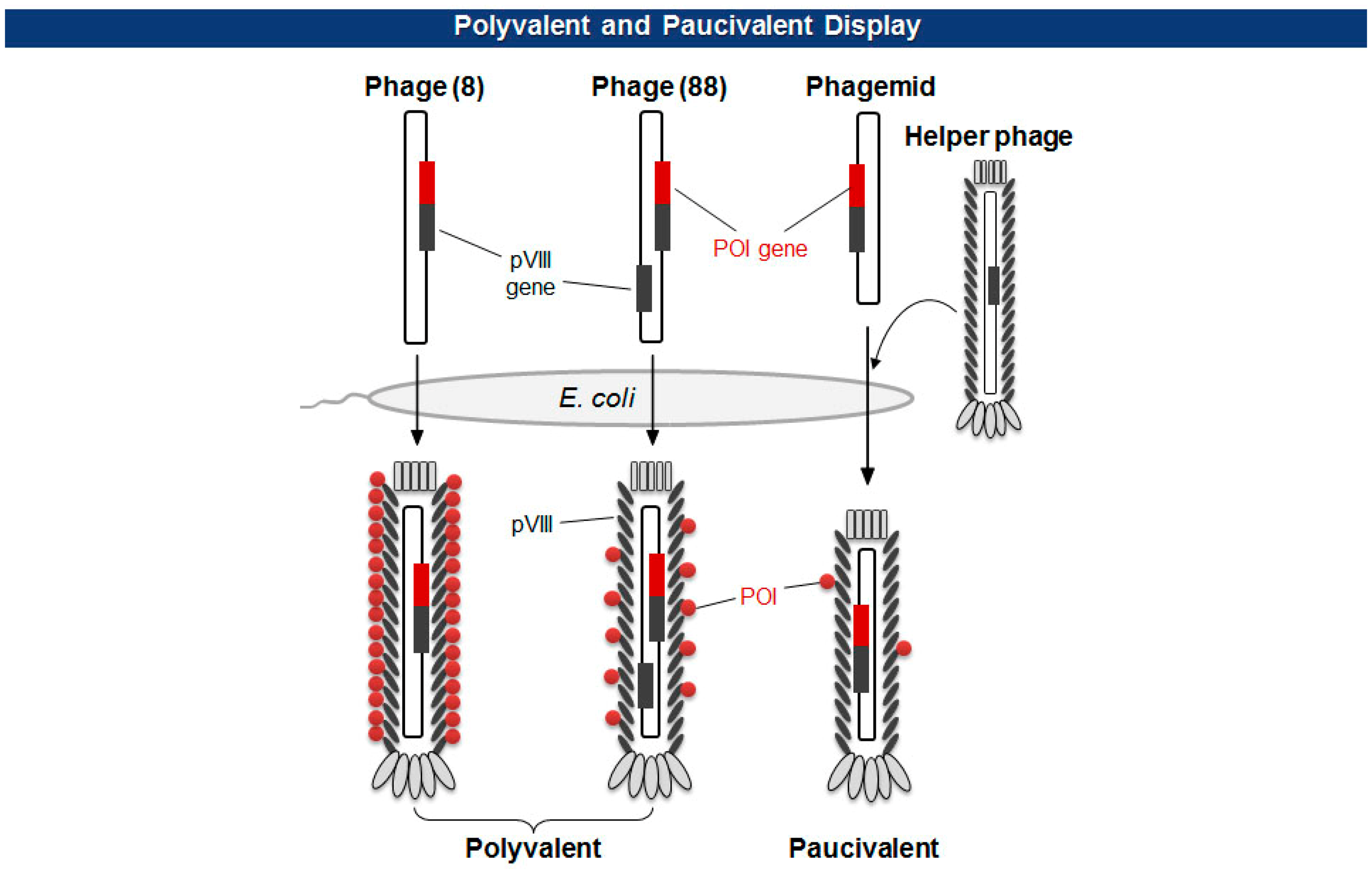 Sensors 14 13592f3 1024