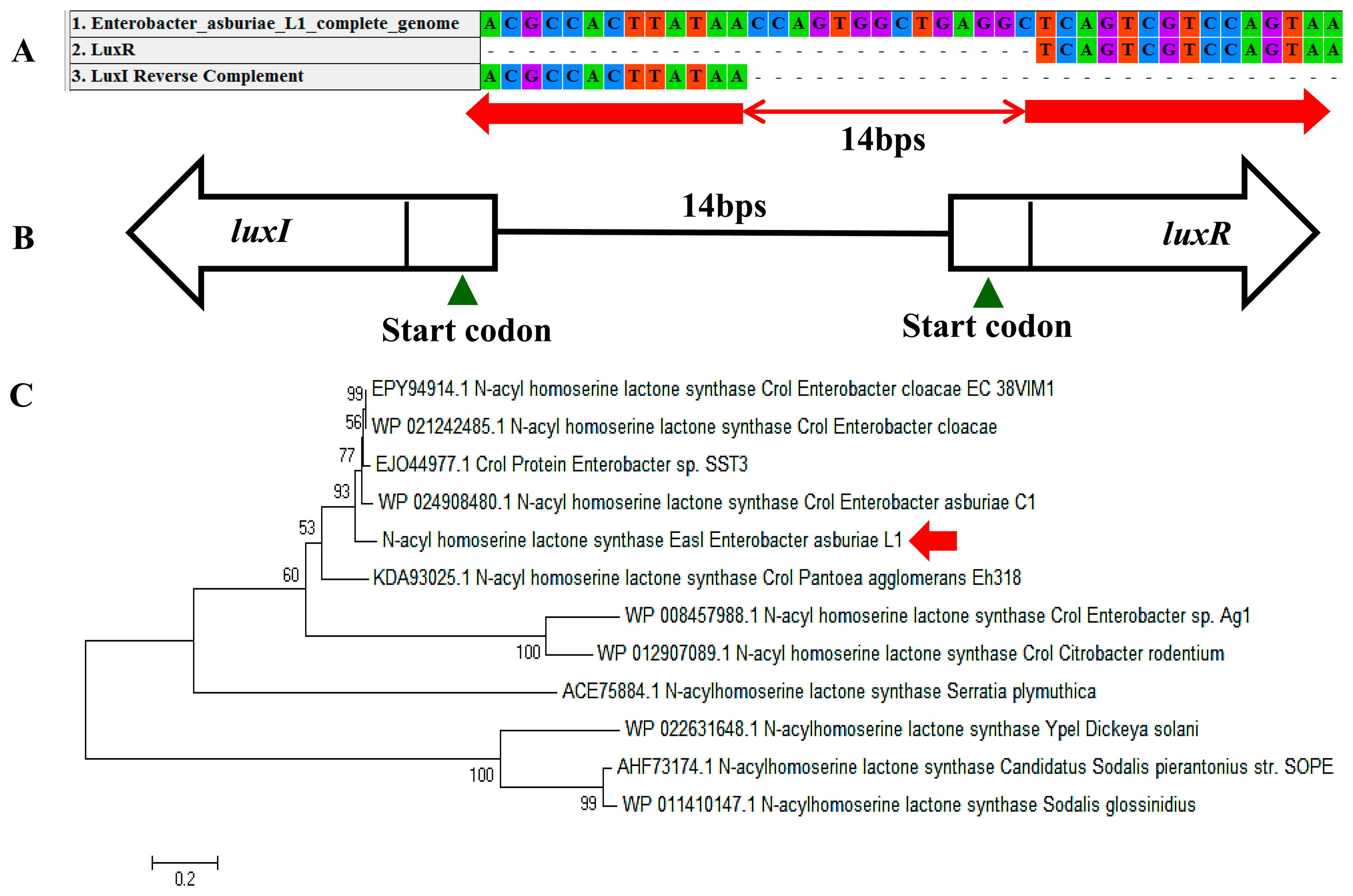 Sensors 14 13913f6 1024