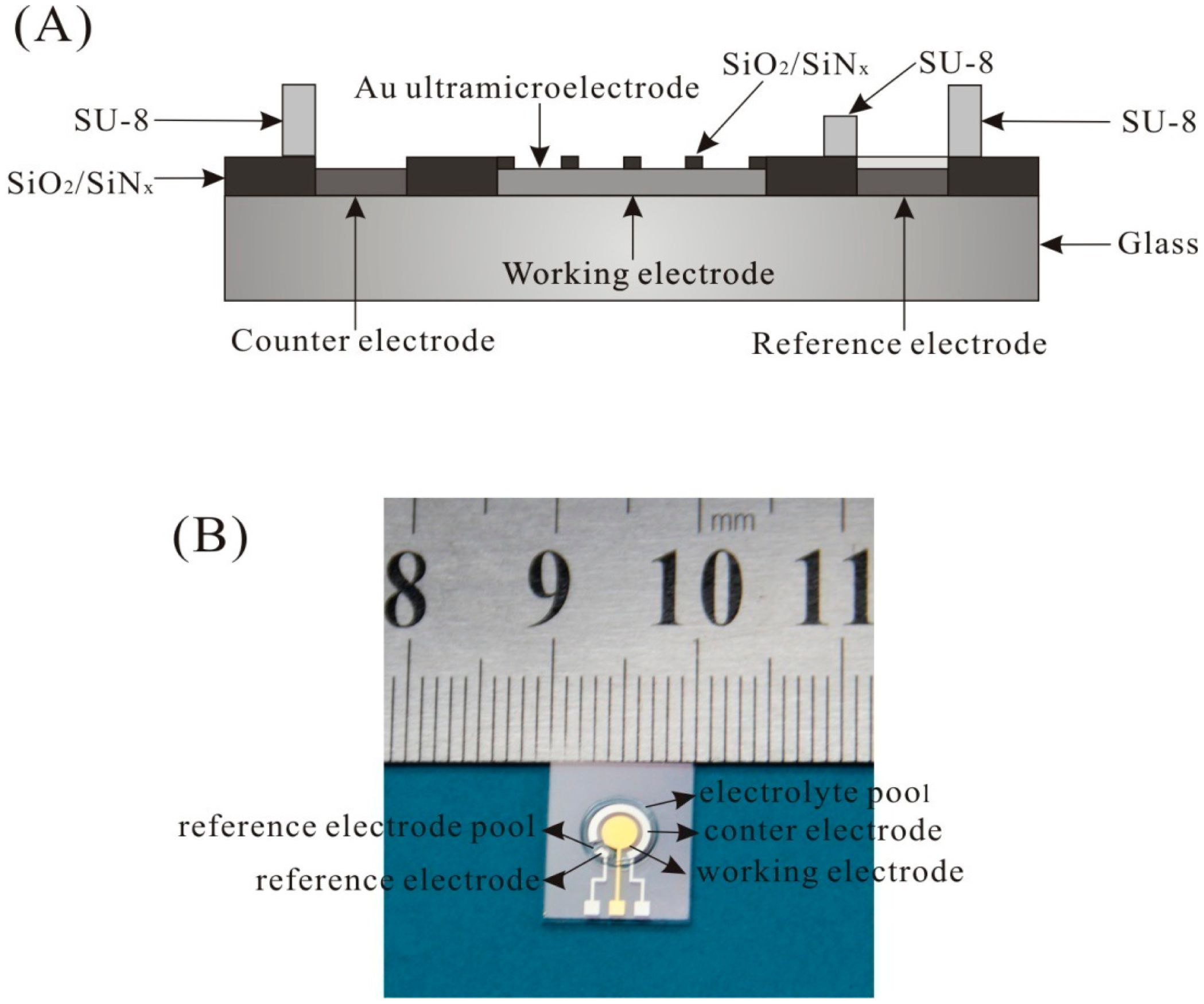 Sensors 15 00382f1 1024