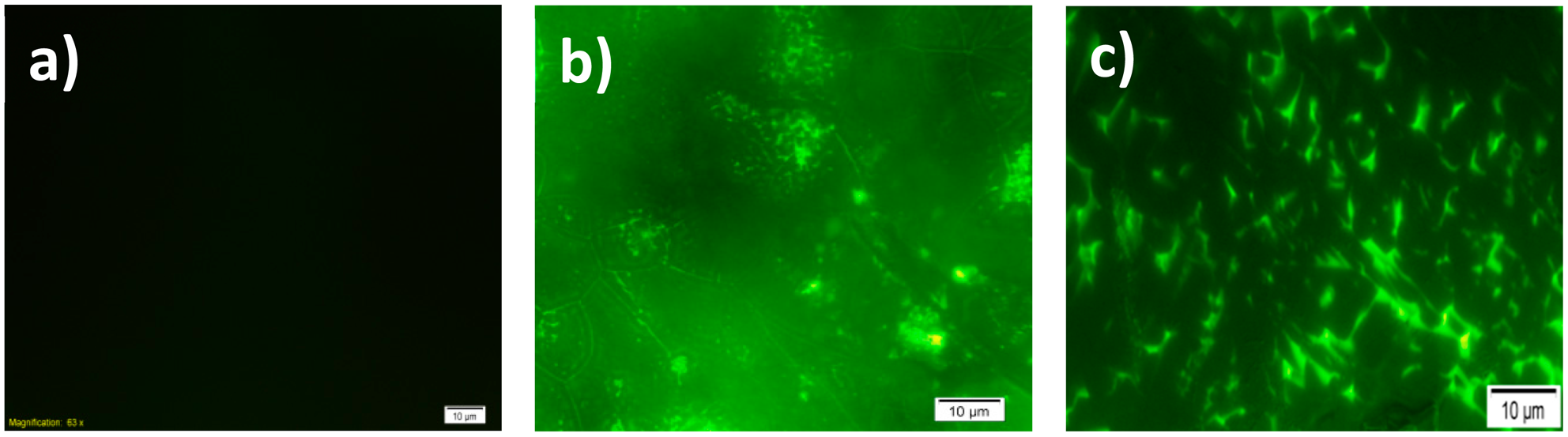 Sensors 15 01389f3 1024