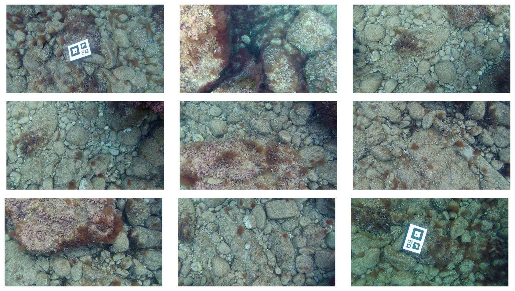 Sensors 15 01708f17 1024