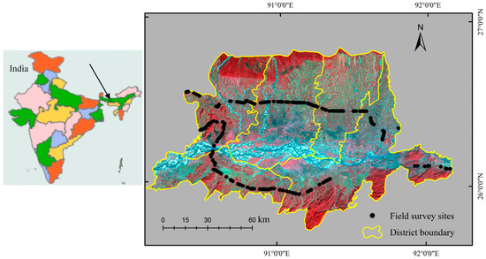 Object-Based Paddy Rice Mapping Using HJ-1A-B Data and Temporal Features Extracted from Time Series MODIS NDVI Data Object-Based Paddy Rice Mapping Using HJ-1A-B Data and Temporal Features Extracted from Time Series MODIS NDVI Data