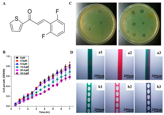 In Vitro Studies on a Microfluidic Sensor with Embedded Obstacles Using New Antibacterial Synthetic Compounds 1-TDPPO Mixed Prop-2-en-1-one with Difluoro Phenyl In Vitro Studies on a Microfluidic Sensor with Embedded Obstacles Using New Antibacterial Synthetic Compounds 1-TDPPO Mixed Prop-2-en-1-one with Difluoro Phenyl
